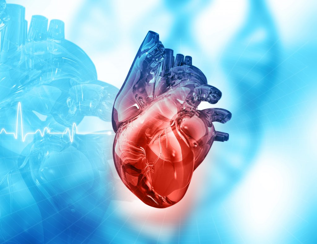 How Often Should You Have a Heart Scan?